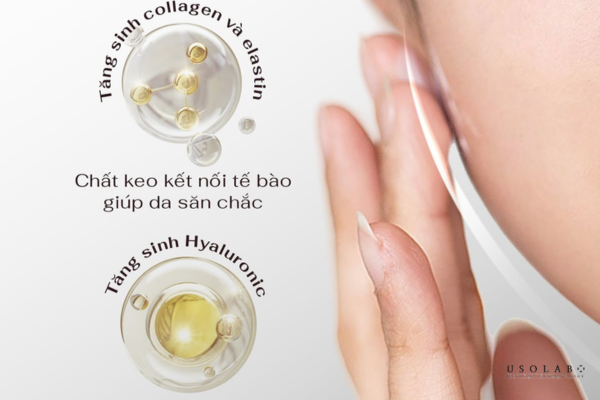 kem trị mụn thịt quanh mắt nhật bản