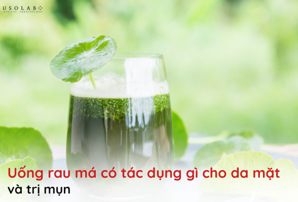 uống rau má có tác dụng gì cho da mặt