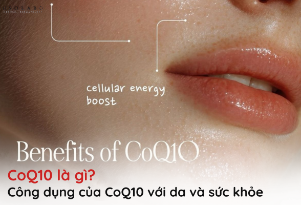 coq10 là gì