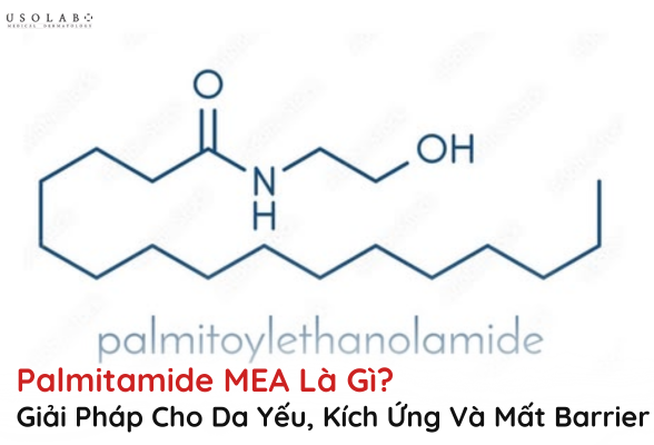 palmitamide mea
