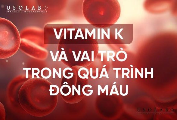 Vitamin K và vai trò trong quá trình đông máu: Tầm quan trọng và ứng dụng y học