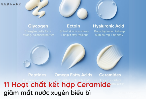 ceramide giảm mất nước
