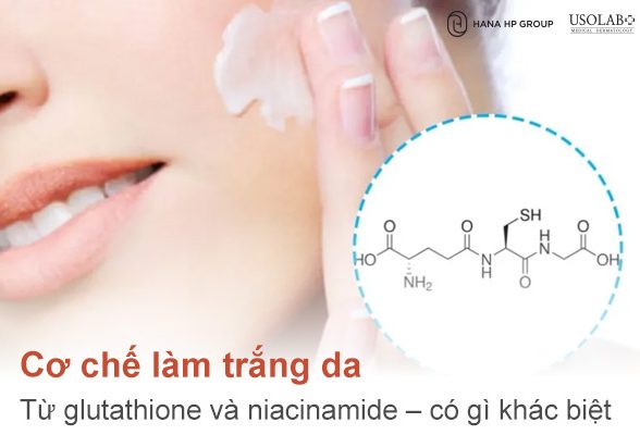 Cơ chế trắng da từ glutathione và niacinamide: Làm sáng da từ trong ra ngoài