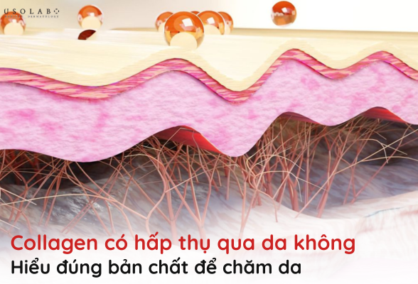 collagen có hấp thụ qua da không