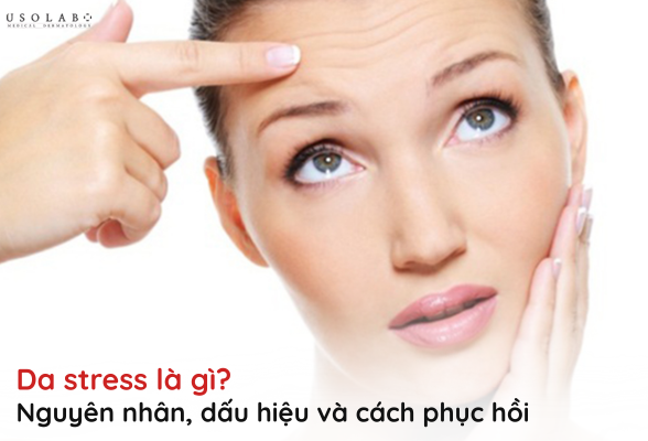 da stress là gì