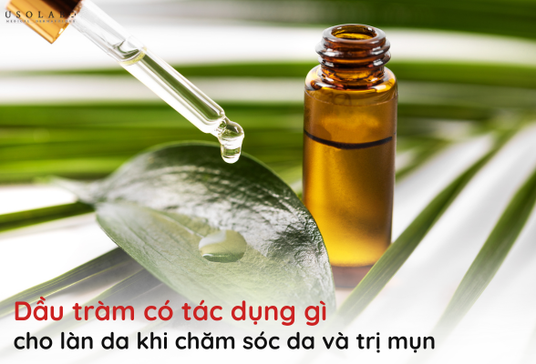 dầu tràm có tác dụng gì