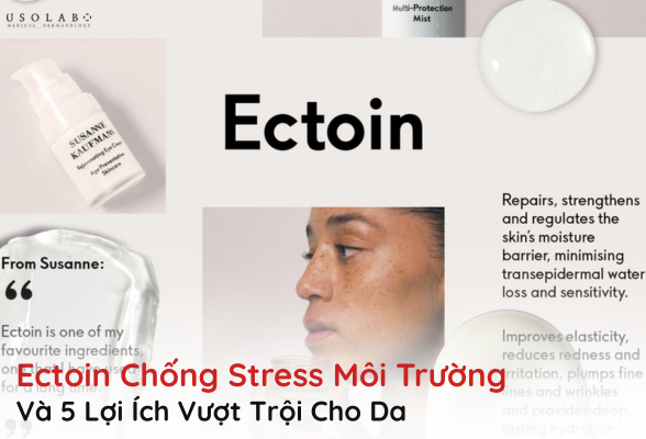 ectoin chống stress môi trường