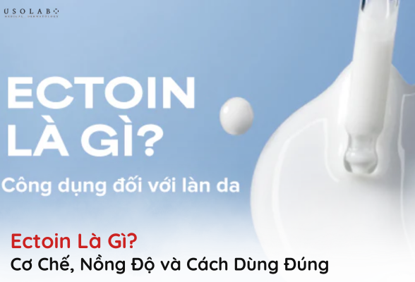 ectoin là gì