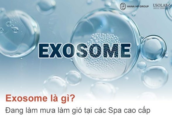 Exosome