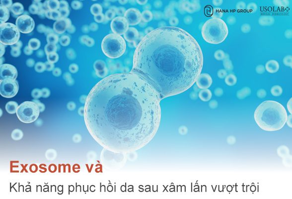 Exosome và khả năng phục hồi da