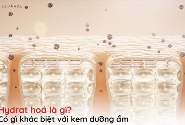 hydrat hoá là gì