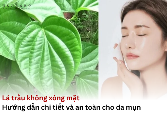 lá trầu không xông mặt