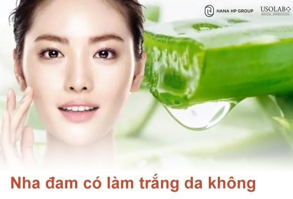 Bác sĩ giải đáp: Nha đam có làm trắng da không và cách dùng an toàn