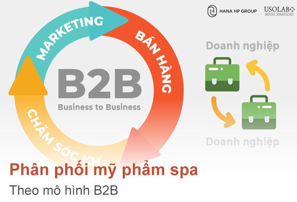 Phân phối B2B mỹ phẩm spa
