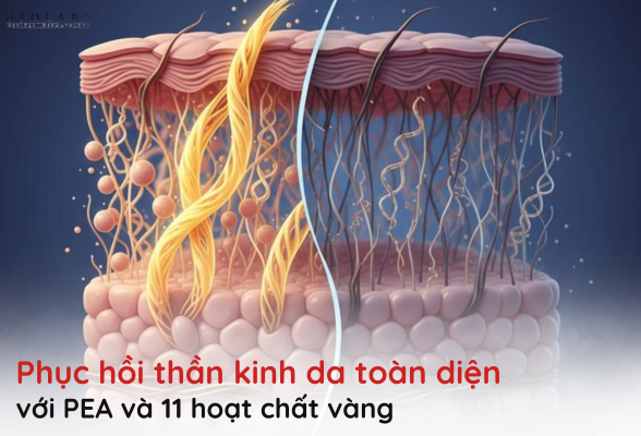 phục hồi thần kinh da