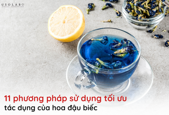 tác dụng của hoa đậu biếc