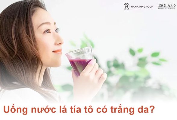 Uống nước lá tía tô có trắng da không phân tích thành phần dinh dưỡng