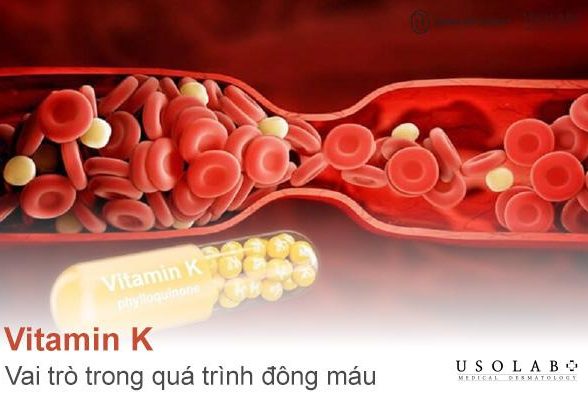 Vitamin K và vai trò trong quá trình đông máu: Tầm quan trọng và ứng dụng y học