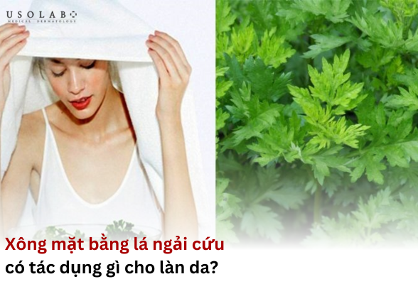 xông mặt bằng lá ngải cứu có tác dụng gì